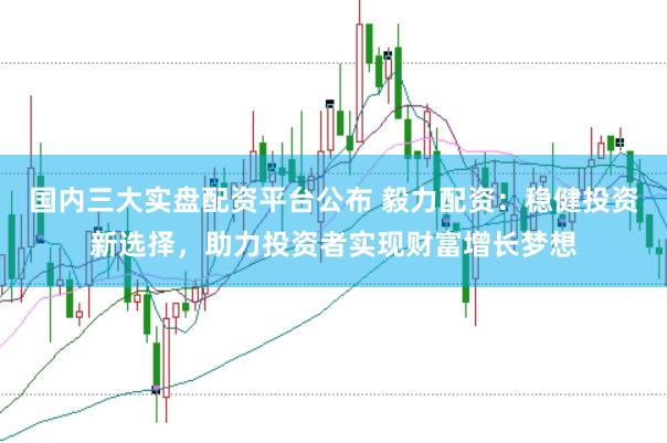 国内三大实盘配资平台公布 毅力配资：稳健投资新选择，助力投资者实现财富增长梦想