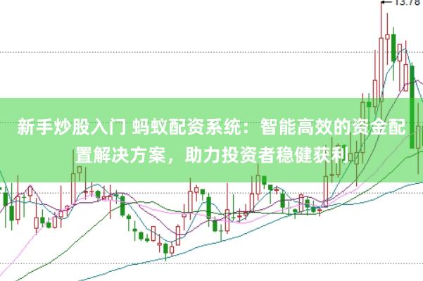 新手炒股入门 蚂蚁配资系统：智能高效的资金配置解决方案，助力投资者稳健获利