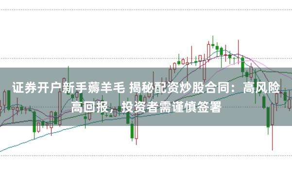 证券开户新手薅羊毛 揭秘配资炒股合同：高风险高回报，投资者需谨慎签署