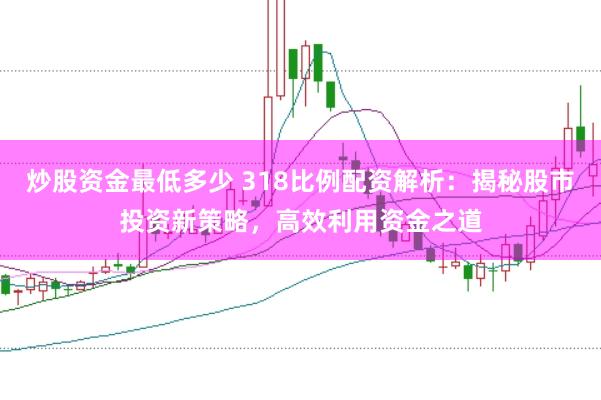 炒股资金最低多少 318比例配资解析：揭秘股市投资新策略，高效利用资金之道