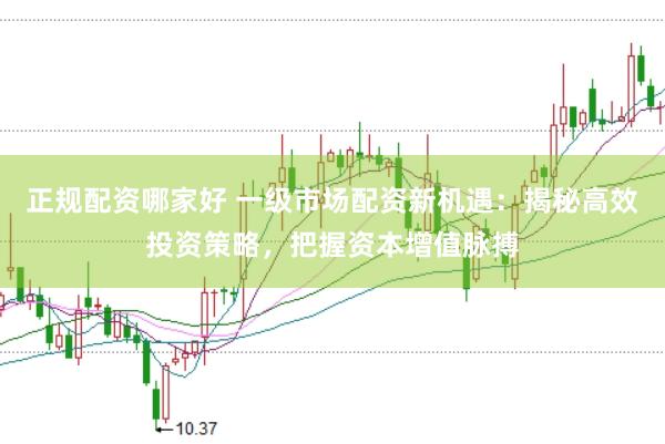 正规配资哪家好 一级市场配资新机遇：揭秘高效投资策略，把握资本增值脉搏