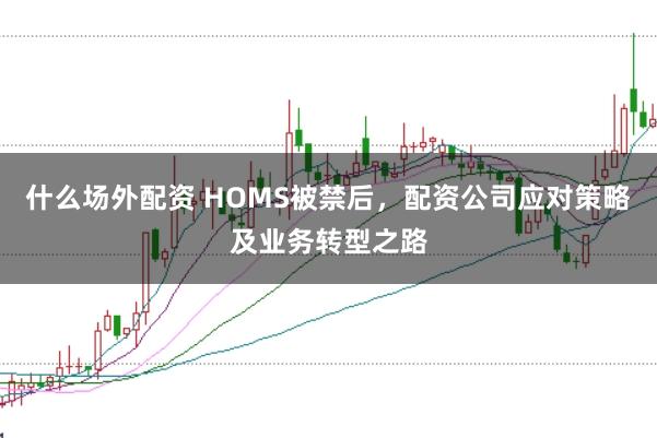 什么场外配资 HOMS被禁后，配资公司应对策略及业务转型之路