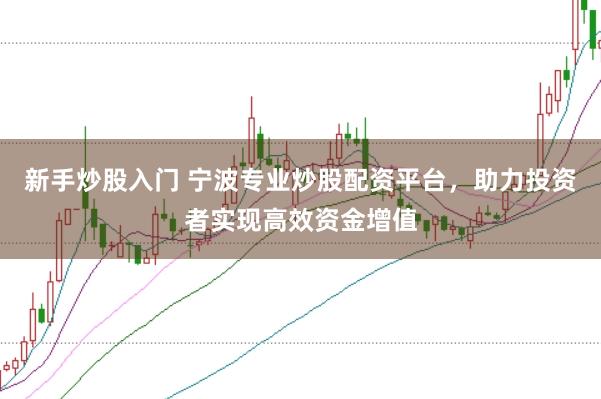 新手炒股入门 宁波专业炒股配资平台，助力投资者实现高效资金增值