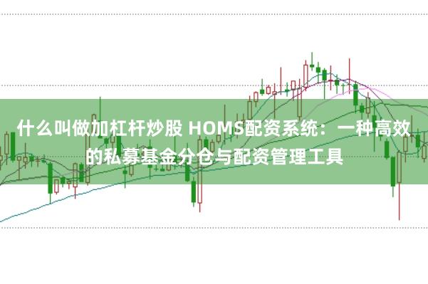什么叫做加杠杆炒股 HOMS配资系统：一种高效的私募基金分仓与配资管理工具