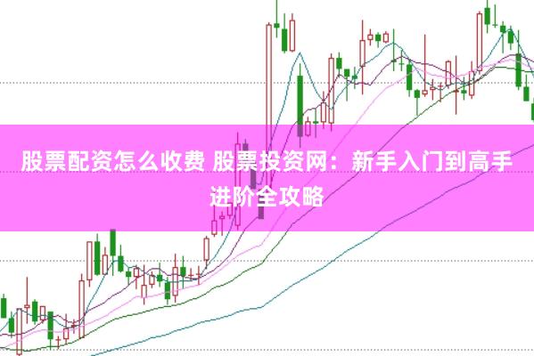 股票配资怎么收费 股票投资网：新手入门到高手进阶全攻略